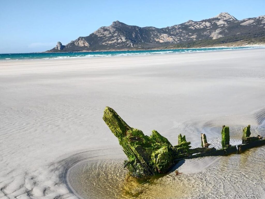 Flotsam at Oakridge Holiday House, Killiecrankie, Flinders Island.